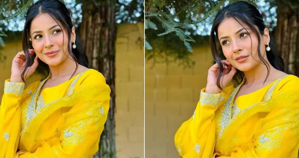 Shehnaaz Gill Desi Look: येलो सूट में शहनाज गिल ने शेयर की गॉर्जियस तस्वीरें, लेटेस्ट फोटोशूट देख फैन्स हुए दीवाने