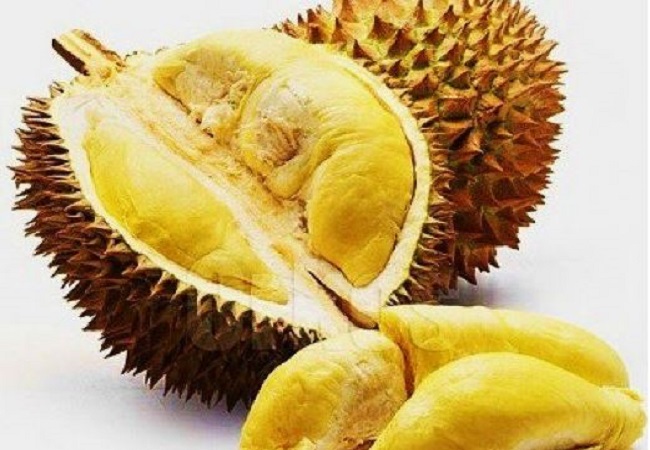 Benefits of Durian: अपनी तेज स्मेल से पहचाने जाने वाले डूरियन में छिपा है कई पोषक तत्वों का खजाना, खाने से होते हैं ये फायदे