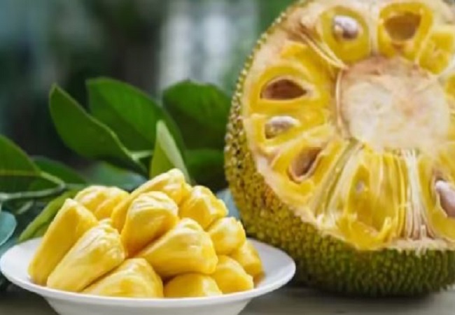 Benefits of eating jackfruit seeds