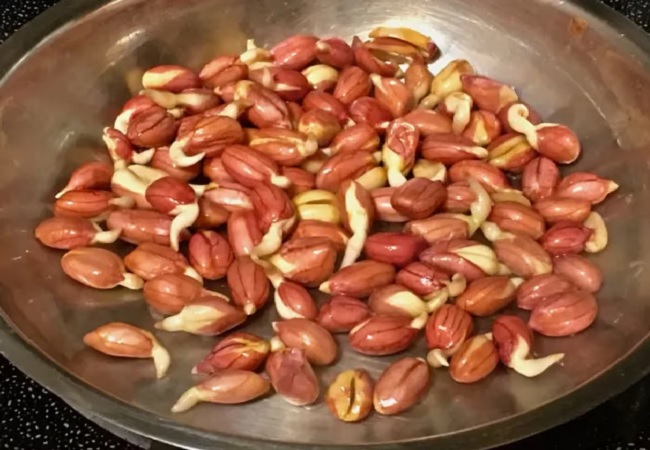 Benefits of eating sprouted peanuts