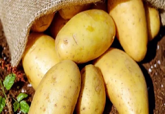 Eating potatoes increases weight