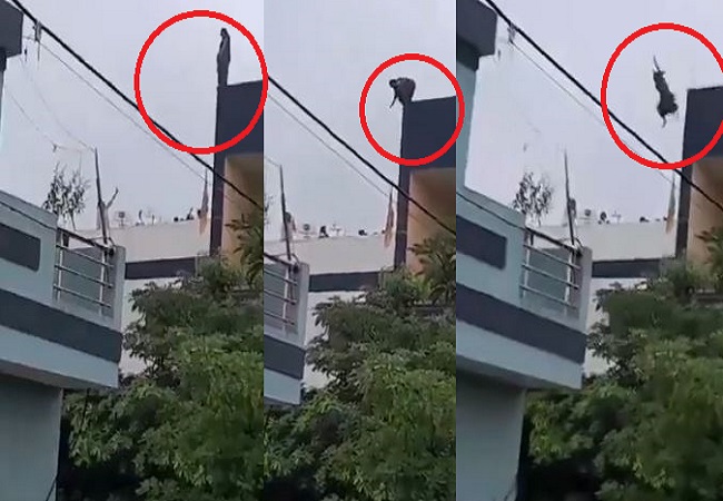 Indore woman committed suicide jumping from roof