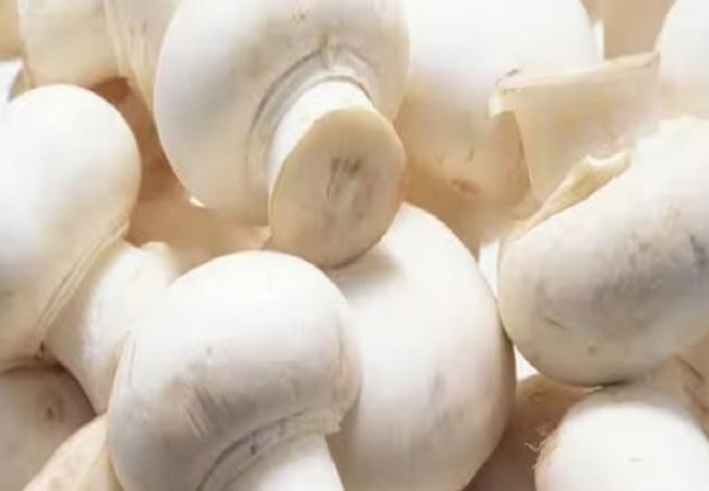 Side effects of eating mushrooms: मशरुम खाने के शौंकीन लोग जान लें इसे खाने से होने वाले नुकसान