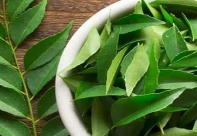 benefits of curry leaves for diabetes