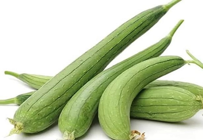 ridge gourd