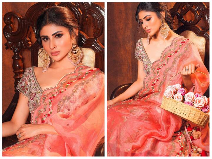 Mouni Roy Desi Look: लेटेस्ट एथनिक लुक्स में मौनी रॉय ने शेयर की गॉर्जियस तस्वीरें