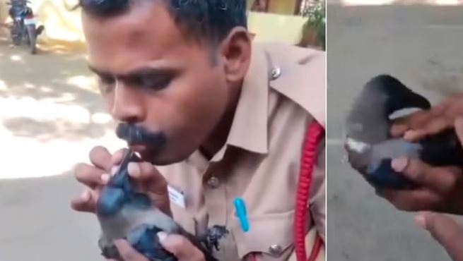 Heart Winning Video: पुलिसकर्मी का दिल जीत लेने वाला वीडियो, कौवे को सीपीआर देकर ऐसे बचाई जान