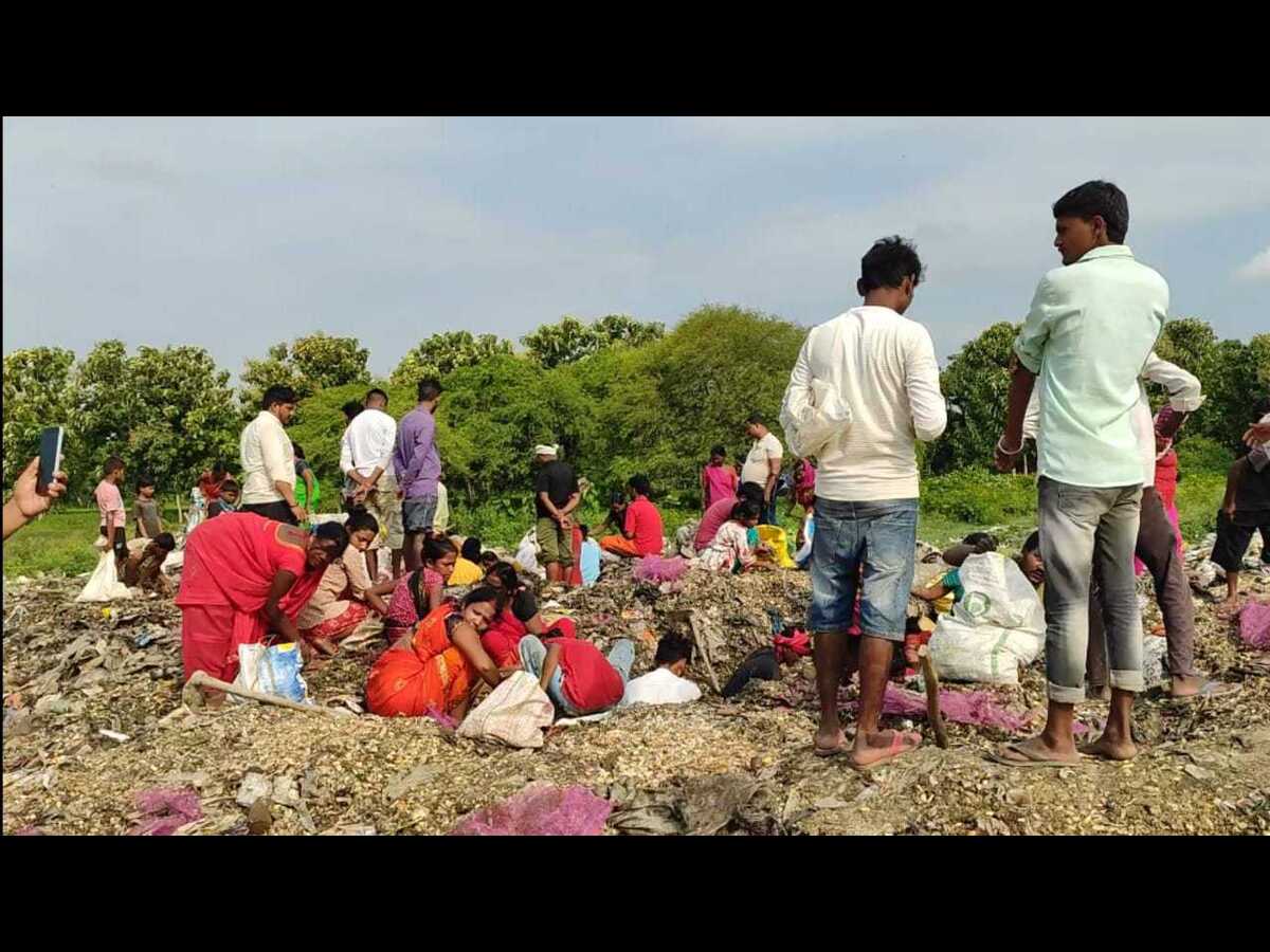 नौतनवा:लैब में फेल चाइनीज लहसुन को नष्ट करने के बाद मची लूट