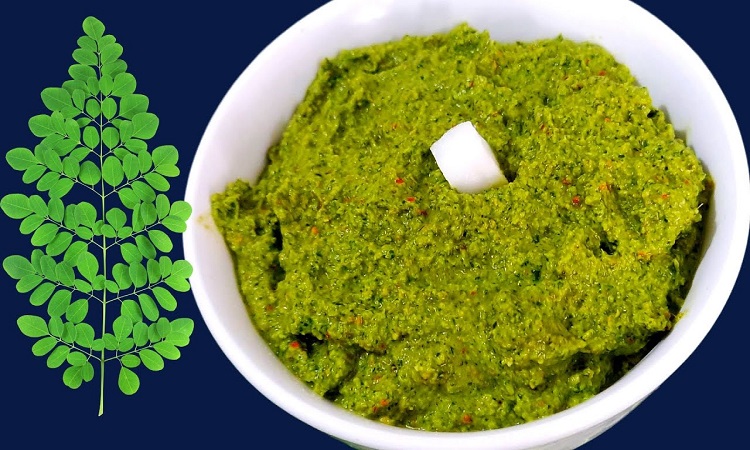 Sajahan or Moringa chutney: स्वस्थ्य और निरोगी काया के लिए डेली डाइट में शामिल करें सजहन या मोरिंगा की चटनी, ये है बनाने का तरीका