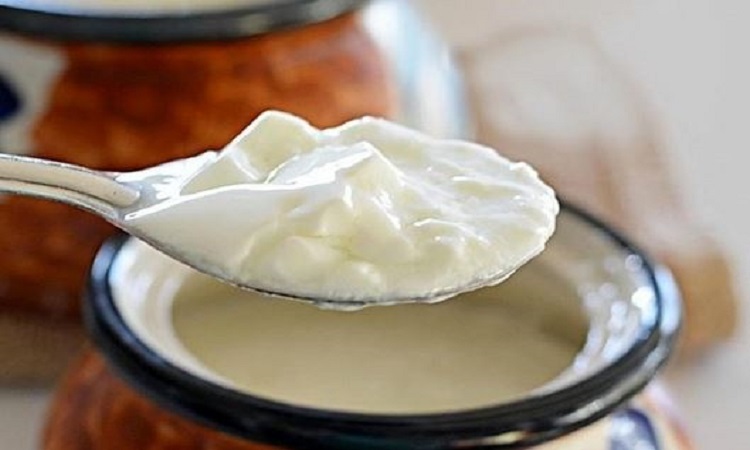 Side effects of eating curd: अगर शरीर में हैं ये दिक्कतें तो भूलकर भी न करें दही का सेवन, बढ़ सकती हैं मुश्किलें