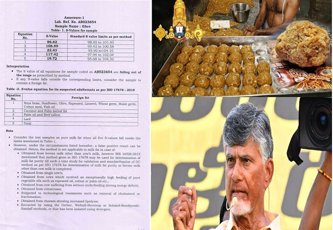 Tirupati Laddoos : तिरुमला तिरुपति मंदिर के लड्डू में बीफ फैट-फिश ऑयल, नेशनल डेयरी डेवलपमेंट बोर्ड के टेस्ट में कंफर्म