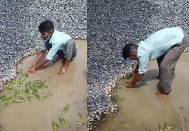 Vegetable seller washing vegetables with muddy water on the road