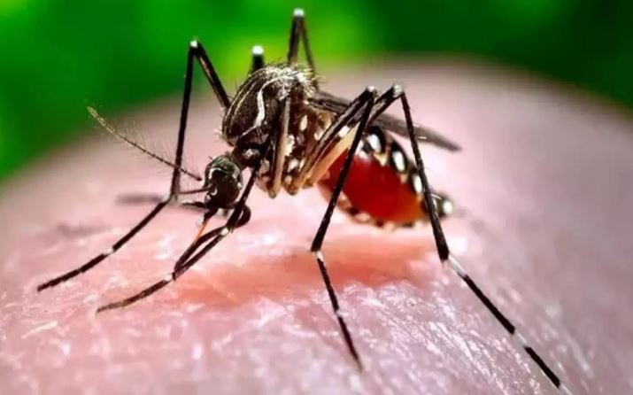 Dengue In Bangladesh : पड़ोसी देश बांग्लादेश में डेंगू का प्रकोप , मृतकों की संख्या 100 तक पहुंची