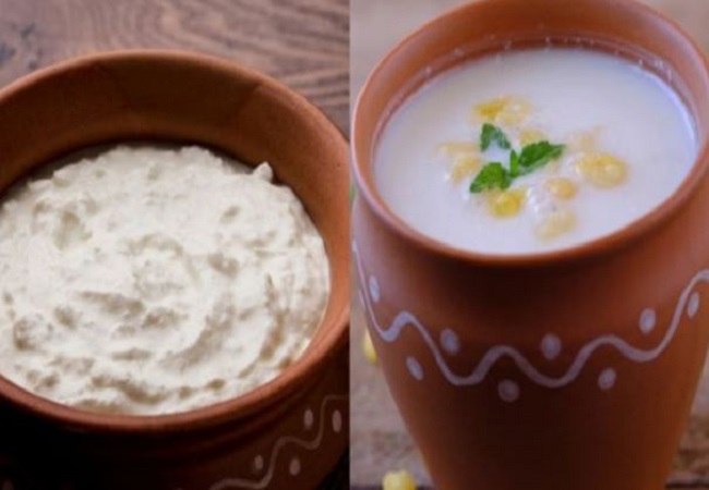 difference between curd and buttermilk