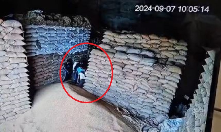 laborer dies after being crushed under wheat sacks in warehouse