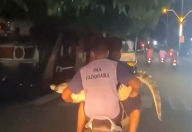 two youths caught a crocodile and reached the forest department office on a scooter.