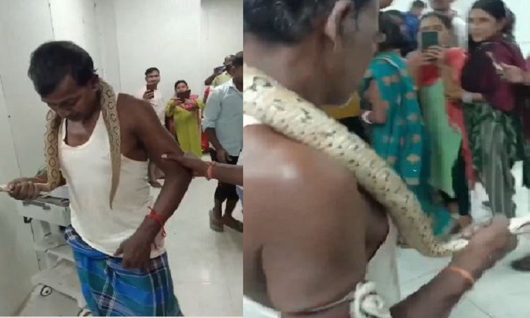 A man reached the hospital holding the world's most poisonous snake,