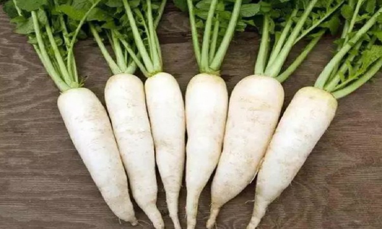 Eating these things with radish causes problems