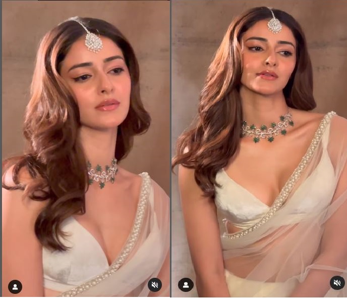 Video-Ananya Panday का सिजलिंग अवतार, ट्रांसपेरेंट साड़ी में बिखेरा जलवा,फैंस उनकी इस अदा के हो गए हैं दीवाने