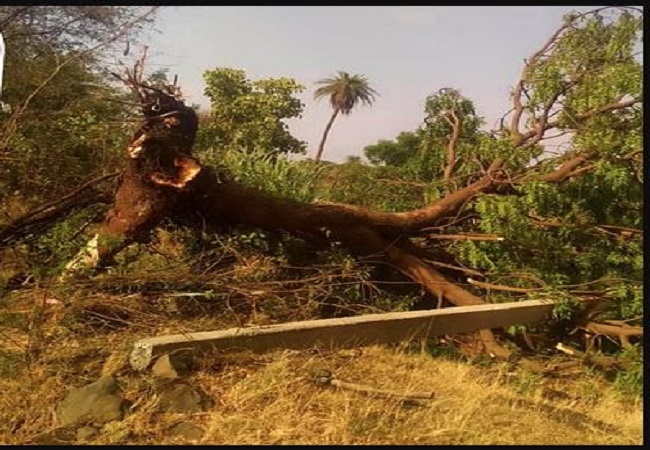 बंगाल की खाड़ी में उठे चक्रवात तूफान ने यूपी के इन जिलों में मचाई भारी तबाही, देखें तबाही का मंजर