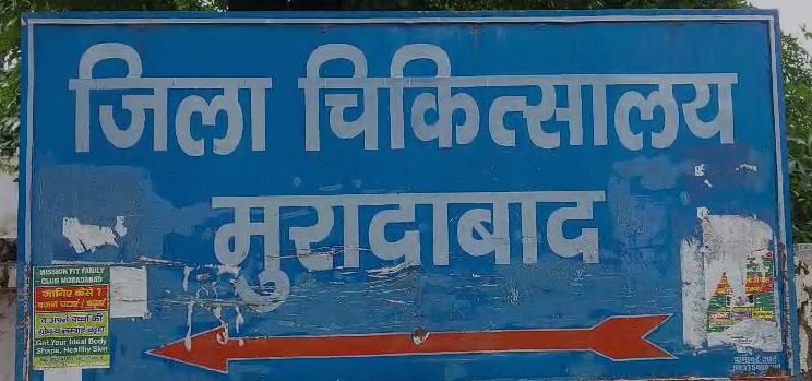 Moradabad News: खूंखार कुत्ते ने एक साथ 6 लोगों पर किया हमला, एक की हालत नाजुक