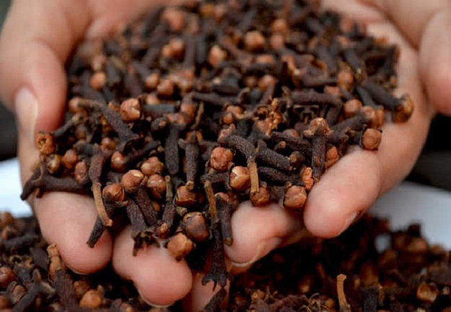 Benefits of eating cloves: रात में मुंह में लौंग दबाकर सोने से होते हैं कई गजब के फायदे