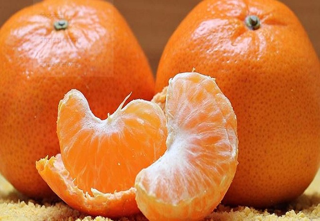 Benefits of eating orange: सर्दियों के मौसम में डेली विटामिन सी से भरपूर यह फल, बीमारियां रहेंगी दूर, सेहत रहेगी अच्छी