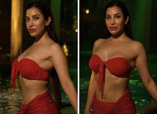 Sophie Choudhry Hot Pic: रिवीलिंग गाउन में सोफी चौधरी दिखी बेहद बोल्ड, वायरल हुई तस्वीरें