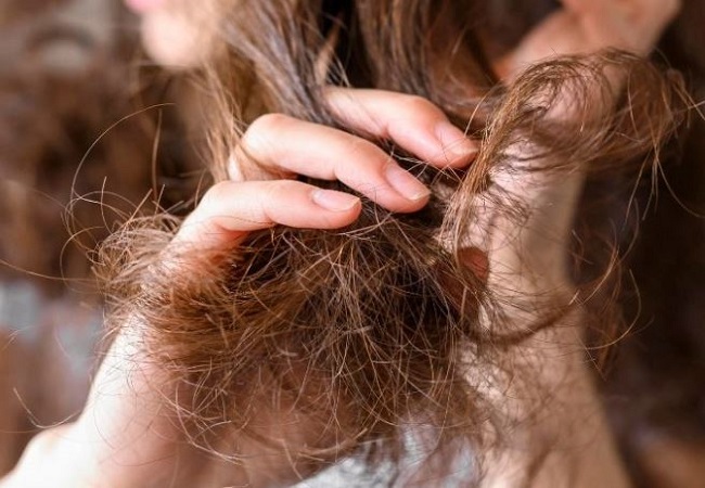 Hair care: फर्श में जहां तहां गिरे रहते हैं बाल, तो घना और मजबूत करने के लिए डाइट में शामिल करें ये चीजें