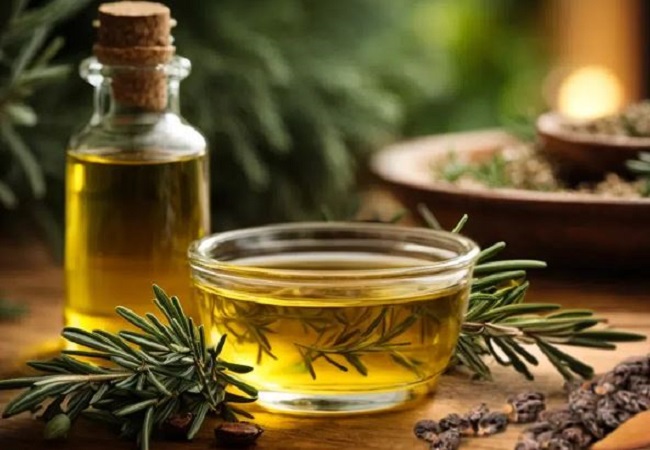 Benefits of rosemary oil: बालों के टूटने, झड़ने से हैं परेशान, तो रोजमेरी ऑयल का करें इस्तेमाल तेजी से बढ़ेगी ग्रोथ