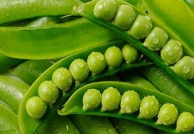 Benefits of eating green peas:सर्दियों में हरी मटर का करें खूब सेवन होते हैं शरीर को कई फायदे