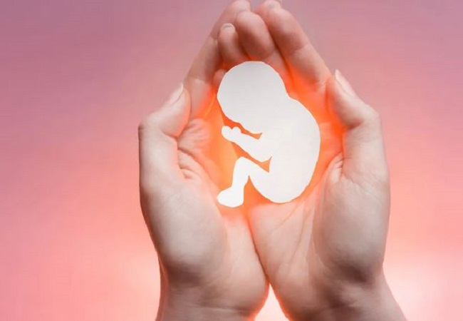 Causes of abortion: प्रेगनेंसी के दौरान अगर शरीर में नजर आ रहे हैं ये लक्षण तो हो सकता है गर्भपात का संकेत