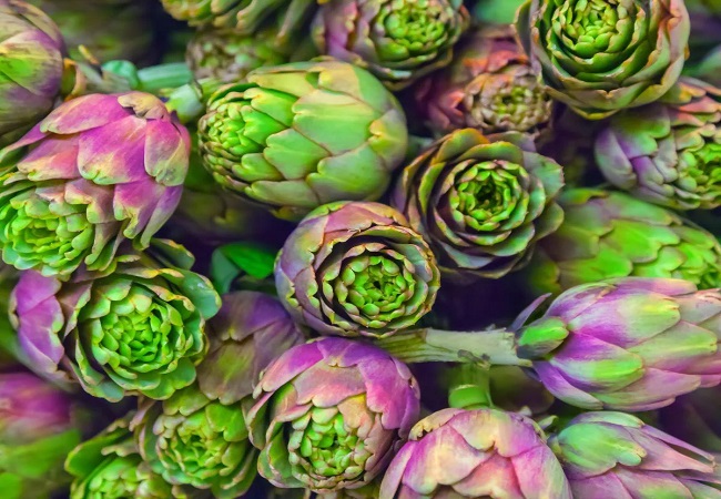 Benefits of artichokes: दिखने में बेहद खूबससूरत यह सब्जी पोषक तत्वों से होती है भरपूर खाने के होते हैं कई फायदे