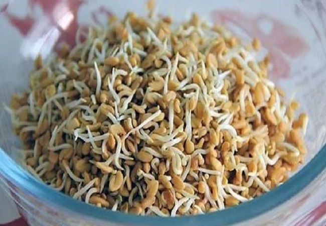 Benefits of sprouted fenugreek: डेली करते हैं अंकुरित अनाज का सेवन, तो चने और मूंग के साथ जरुर शामिल करें अंकुरित मेथी, खाने से होते हैं ये फायदे