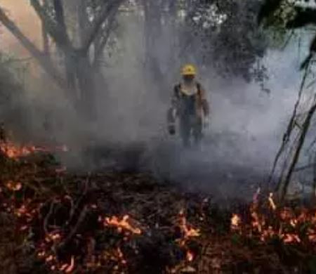 Argentina Wildfire: अर्जेंटीना में जंगली आग ने राष्ट्रीय उद्यान का 3,500 हेक्टेयर क्षेत्र नष्ट कर दिया,हवाई अभियान चलाना मुश्किल