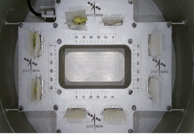 ISRO ने अंतरिक्ष में बो दिये लोबिया के बीज, जल्द ही निकलेंगे पत्ते
