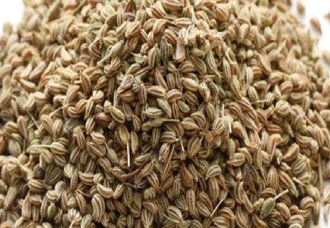 Benefits of Ajwain Bundle: सर्दी खांसी और जुकाम से छुटकारा दिलाने में मदद करेगी ये अजवायन की पोटली, ऐसे करें इस्तेमाल