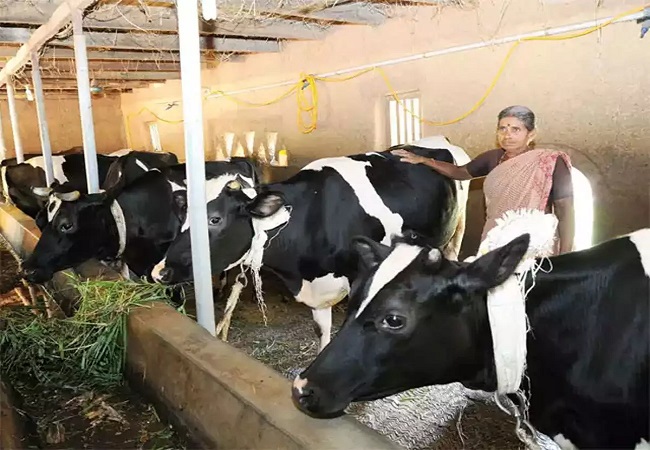 महाकुम्भ नगर में संगम तट पर 8 फरवरी को पशुधन एवं दुग्ध विकास विभाग की होगी बैठक
