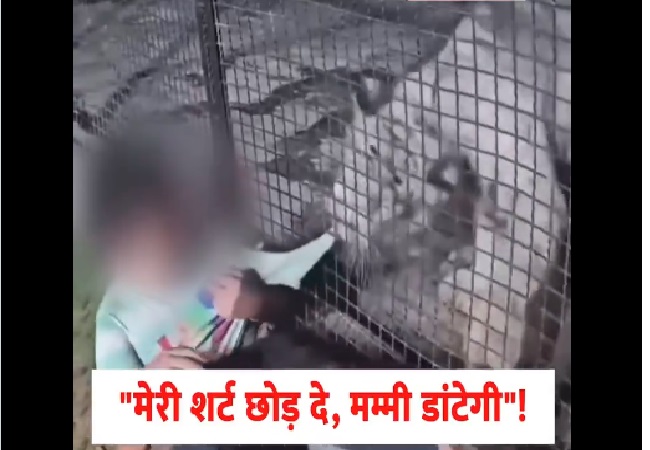 Video- टाइगर के जबड़े में फंसी अपनी शर्ट को छुड़ा रहा था बच्चा, बोला- मेरी Shirt छोड़ दे… मम्मी डांटेगी