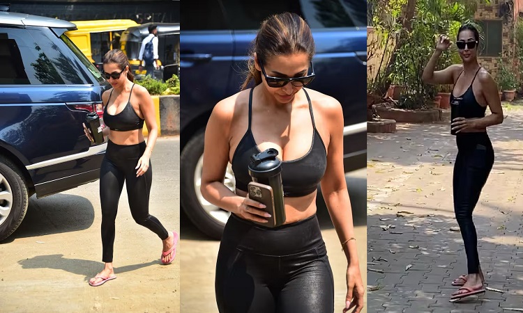 ब्लैक ब्रालेट और टाइट्स पहन वर्कआउट करने जिम जाती नजर आईं मलाइका, फोटोज ने बढ़ाई फैंस की धड़कनें