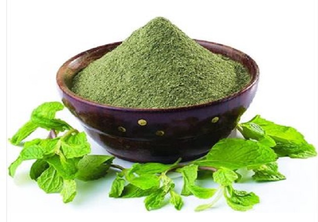 Mint powder at home: घर में ऐसे बनाएं पुदीना पाउडर, स्वाद और खुशबू बढ़ाने के अलावा सेहत के लिए फायदेमंद