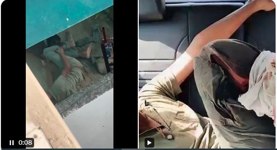 पिटबुल डॉग ने नोएडा में शेल्टर होम के कर्मचारी पर किया जानलेवा हमला, भयावह Video आया सामने