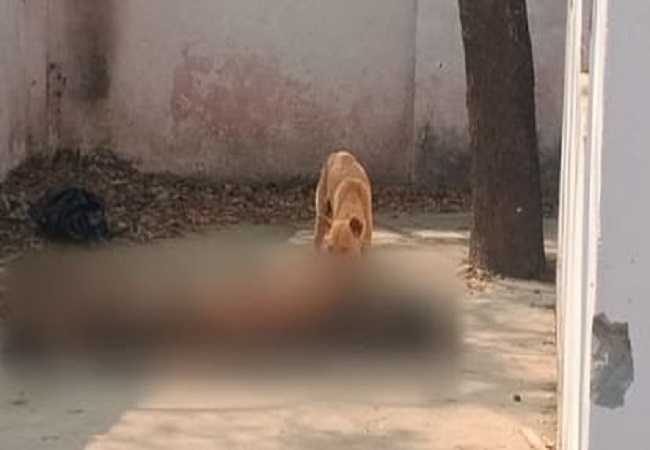 बदायूं में पोस्टमार्टम हाउस के बाहर पड़ी लाश को नोच-नोचकर खाया कुत्ता, क्या सरकारी व्यवस्था हो गई है ‘मुर्दा’?