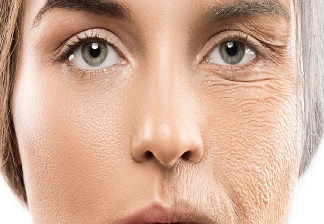 Foods that increase skin’s collagen: उम्र से पहले नजर आने लगी है स्किन बूढ़ी, तो इन चीजों को डाइट में शामिल कर बढ़ाएं स्किन का कोलेजन