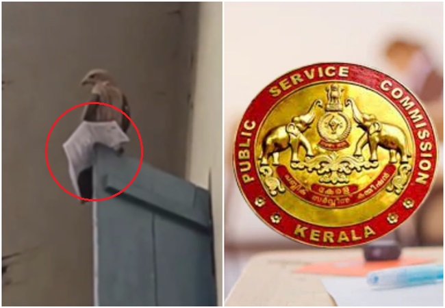 Video: केरल PSC परीक्षा से पहले अभ्यर्थी से एडमिट कार्ड झपट उड़ गया चील, फिर जो हुआ…