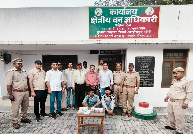लखीमपुर खीरी में UP STF ने बाघ के कीमती अंगों के साथ दो वन्यजीव तस्करों को किया गिरफ्तार