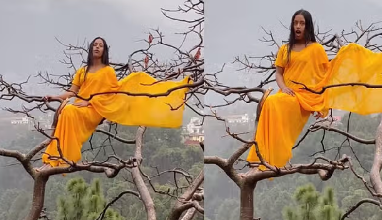 Trending video: पेड़ पर चढ़ लड़की ने बनाई ऐसी रील, वीडियो देख लोग बोले आया हवा का झोंका खत्म कहानी
