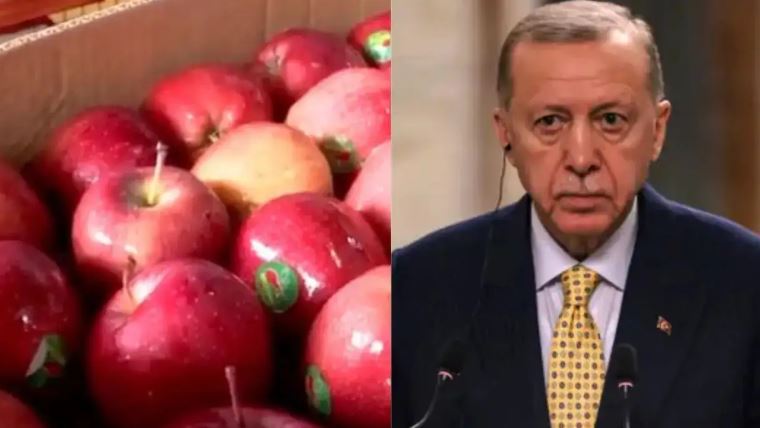 Turkey apple import Demand ban : तुर्किये से सेब आयात पर प्रतिबंध की मांग , व्यापारियों का तुर्किये से सेब आयात करने से इनकार