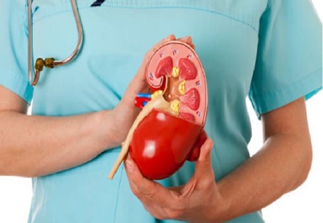 Benefits of drinking okra water: किडनी डिटॉक्स करता है, इम्युनिटी बेहतर करने के अलावा कोलेस्ट्रॉल को कम करता है भिंडी का पानी के हैं कई फायदे