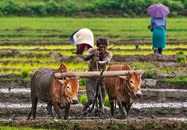 Good News: खराब मौसम की मार झेल रहे किसानों के लिए खुशखबरी, सरकार 1 लाख अन्नदाताओं के खातों में भेज रही ₹158 करोड़